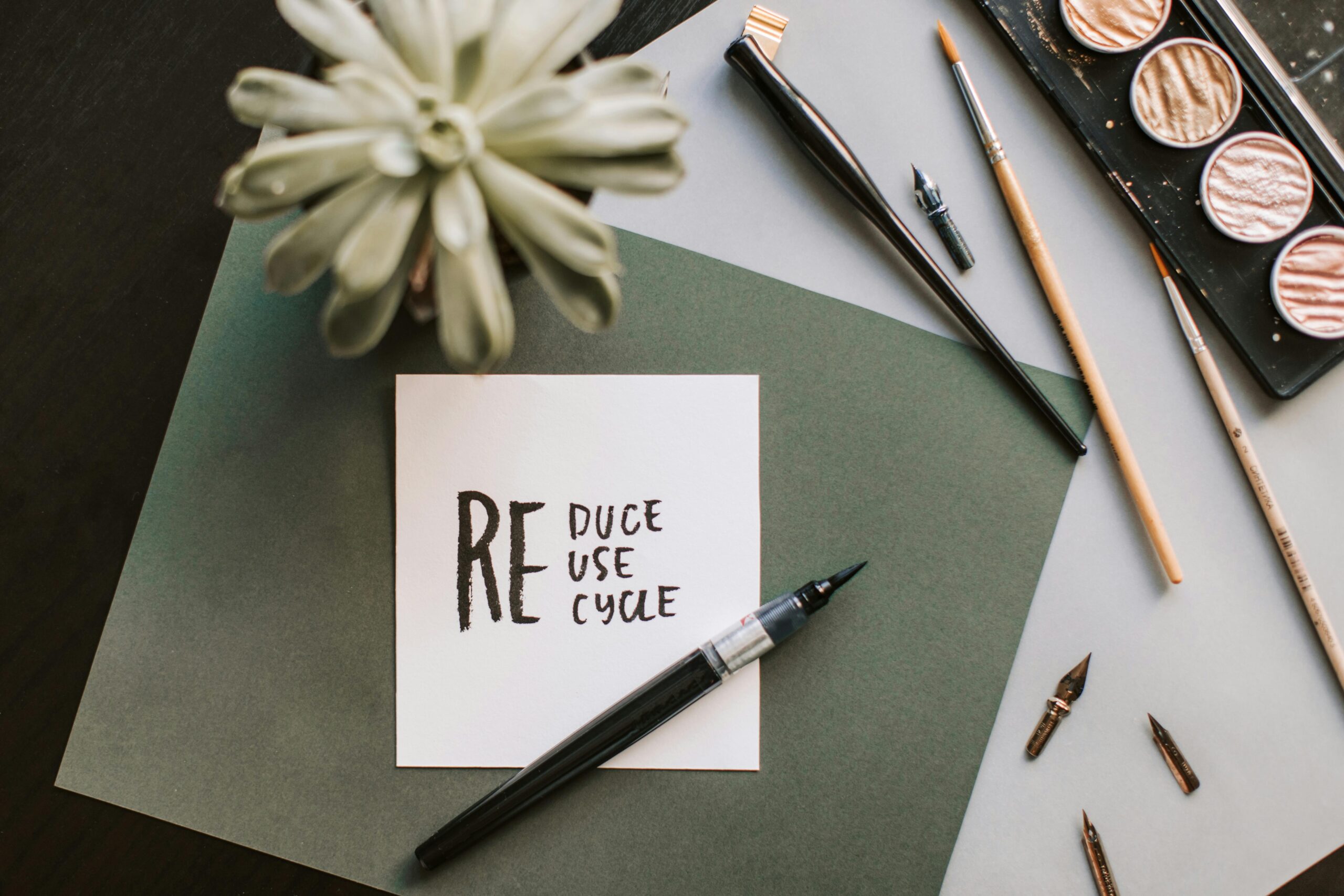 Repurpose , Reuse , and Renew :Sustainable DIY ideas for every home